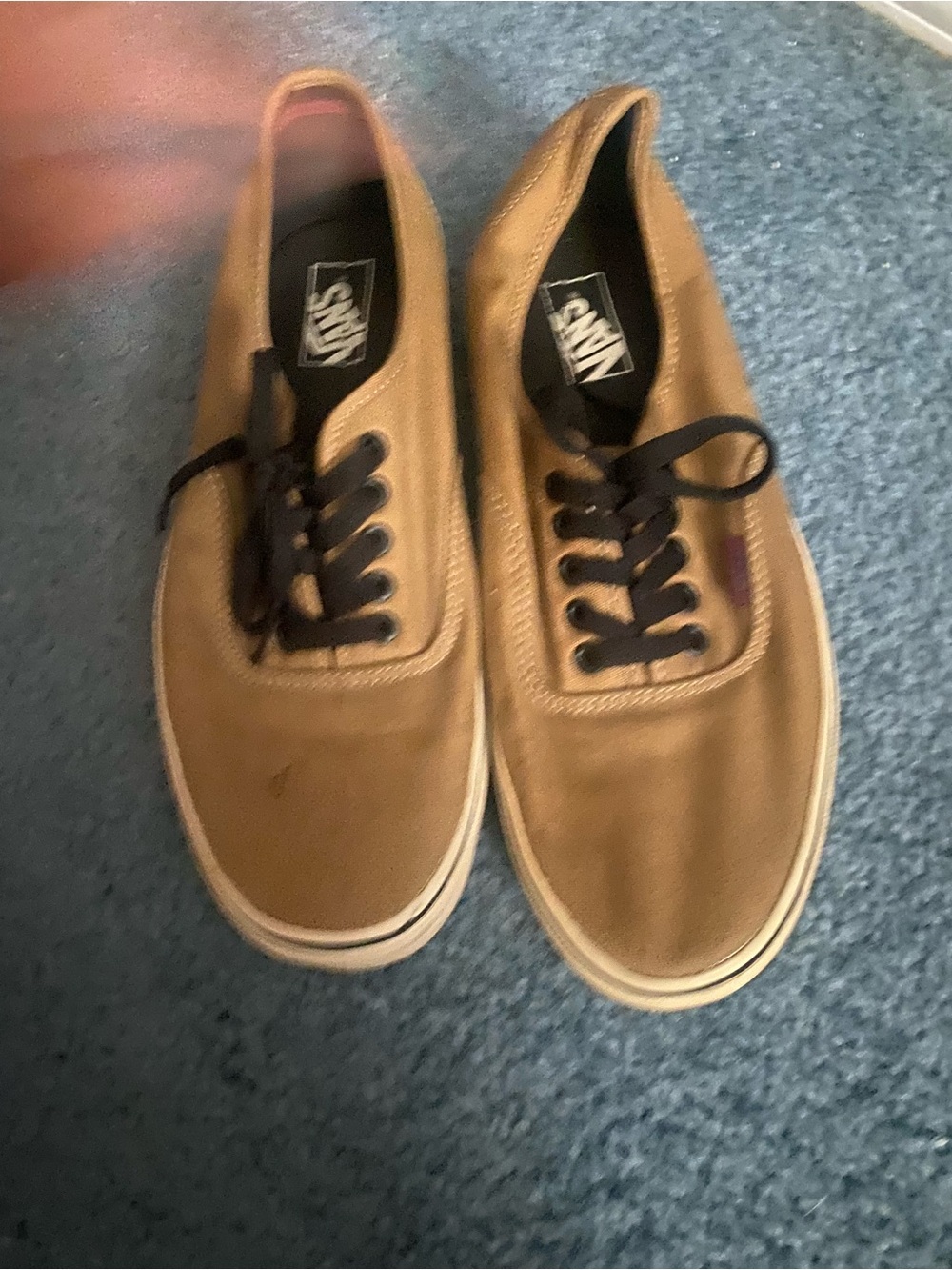 Vans Tan Canvas Low-Top Sneakers with Black Laces